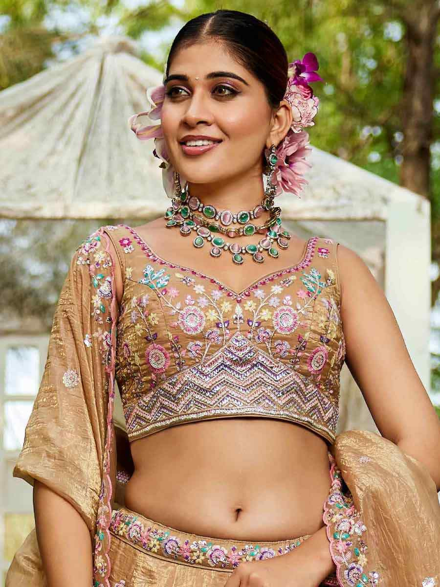 Beige Tissue Embroidered Reception Wedding Heavy Border Lehenga Choli