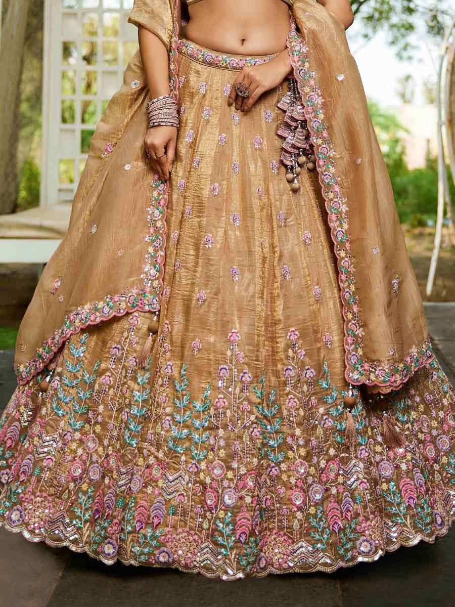 Beige Tissue Embroidered Reception Wedding Heavy Border Lehenga Choli