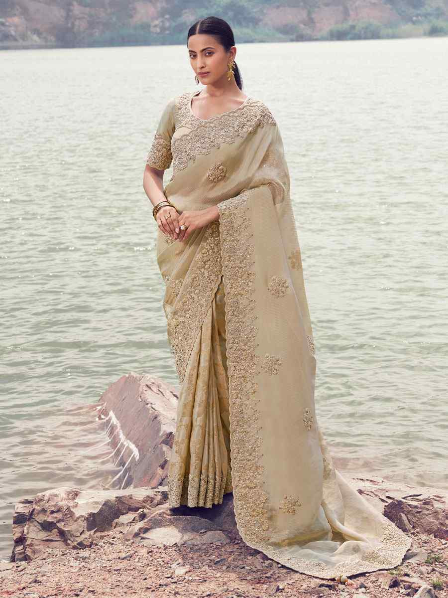 Beige Tissue Silk With Jacquard Embroidery Bridal Reception Festival Wedding Fancy Heavy Border Saree