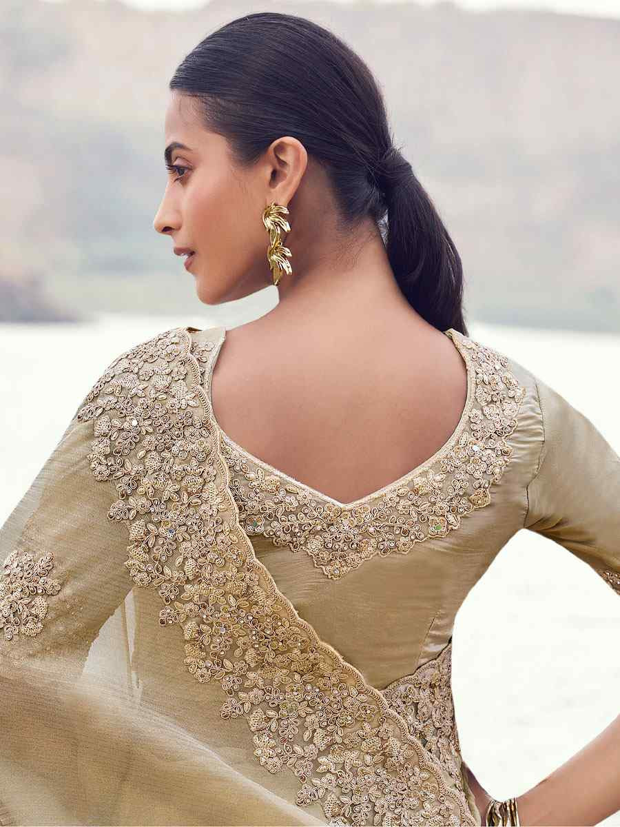 Beige Tissue Silk With Jacquard Embroidery Bridal Reception Festival Wedding Fancy Heavy Border Saree