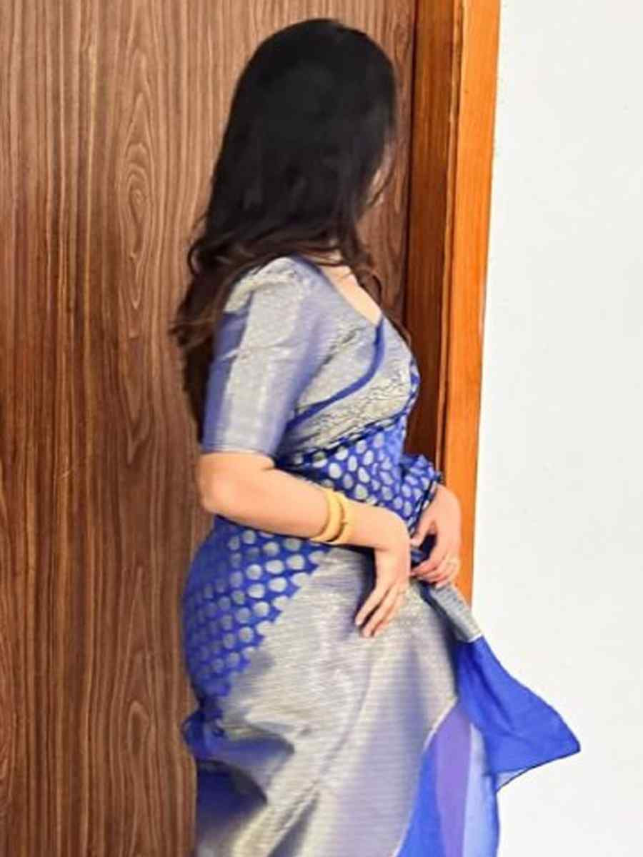 Blue Banarasi Soft Silk Handwoven Festival Wedding Fancy Heavy Border Saree