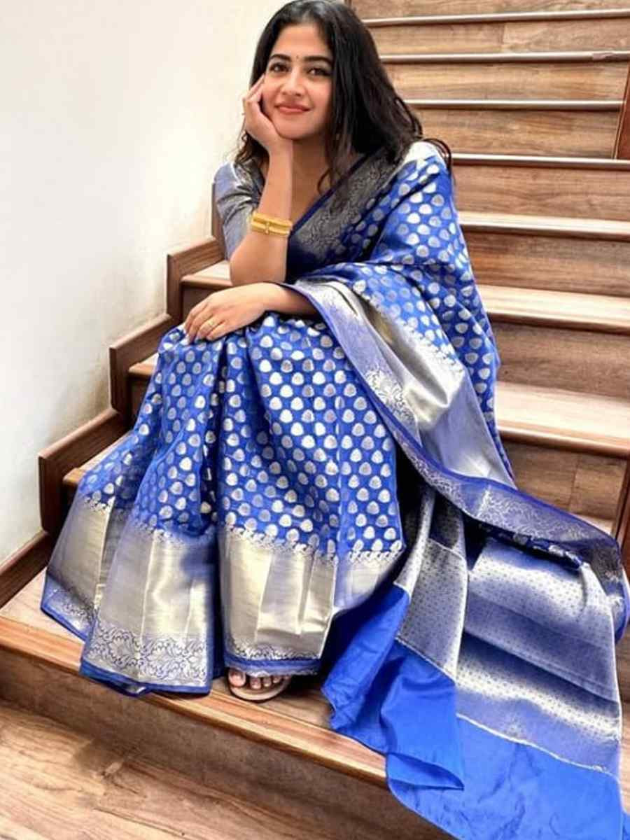 Blue Banarasi Soft Silk Handwoven Festival Wedding Fancy Heavy Border Saree