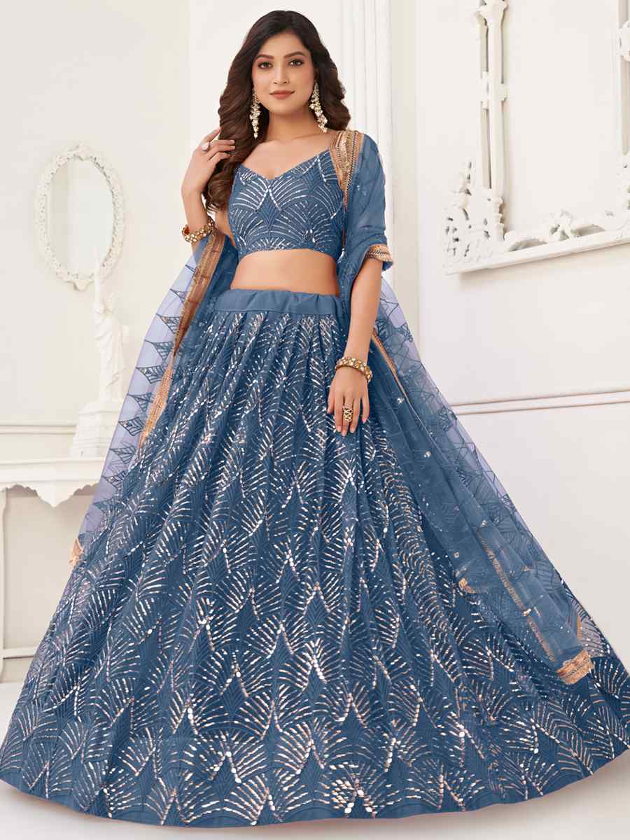Blue Butterfly Net Embroidered Festival Wedding Circular Lehenga Choli