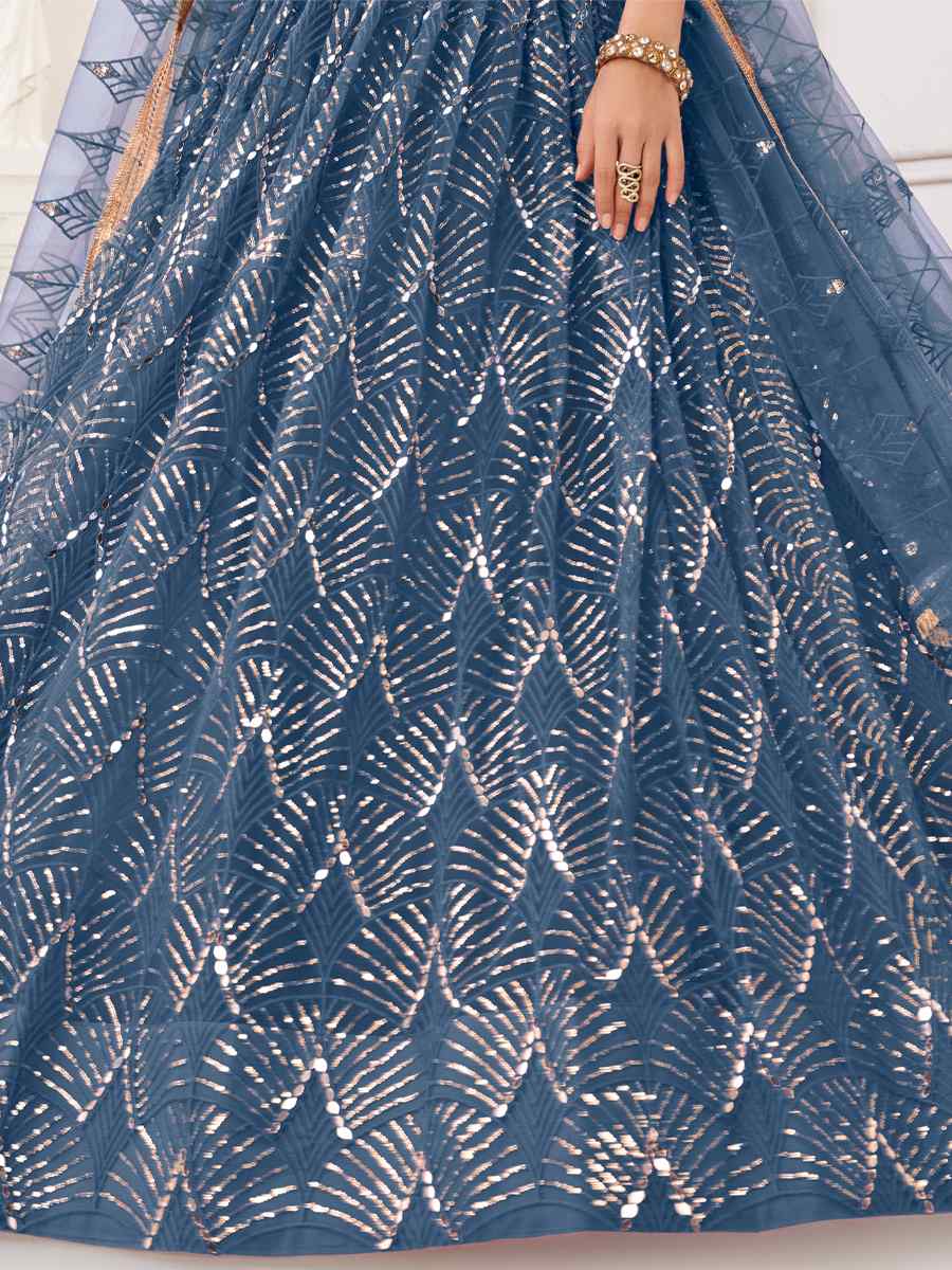 Blue Butterfly Net Embroidered Festival Wedding Circular Lehenga Choli