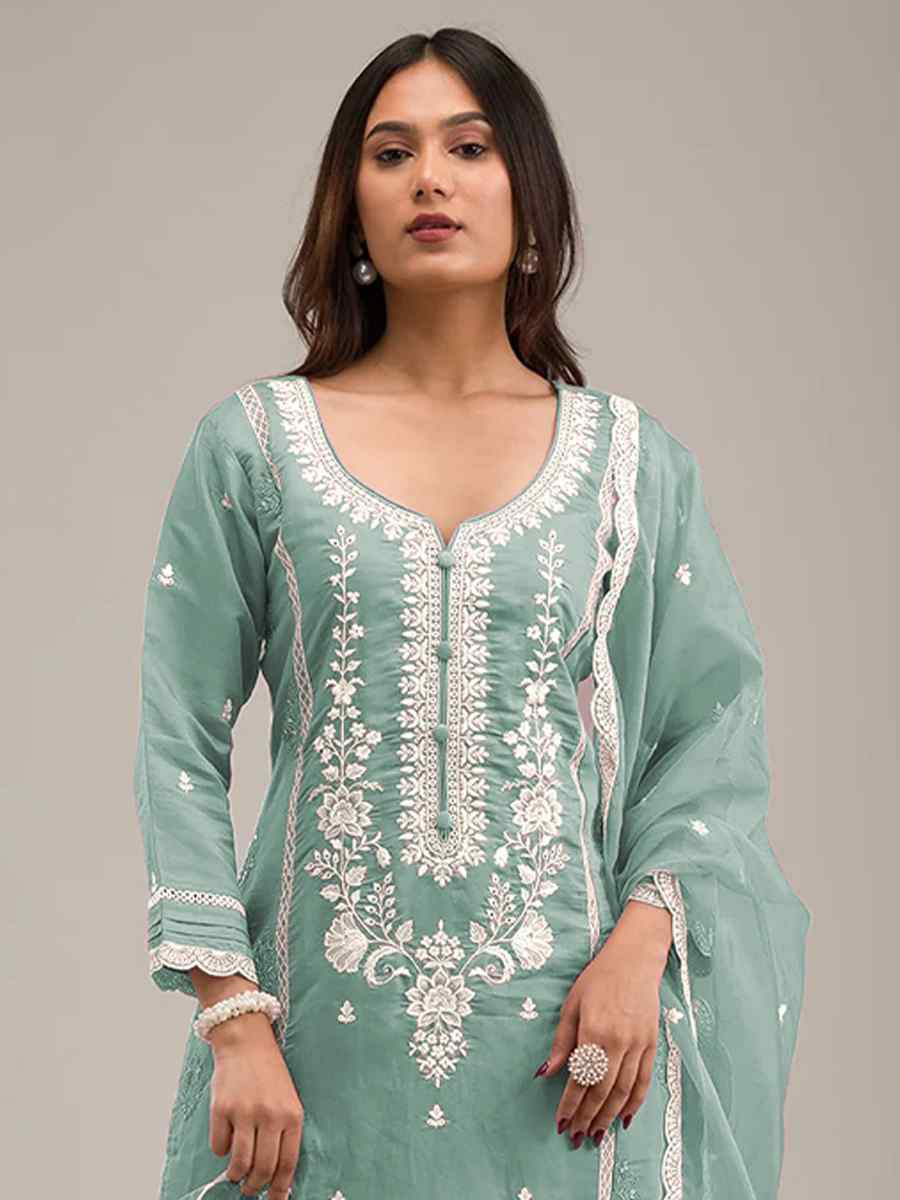 Blue Heavy Pv Cotton Embroidered Festival Wedding Pant Salwar Kameez