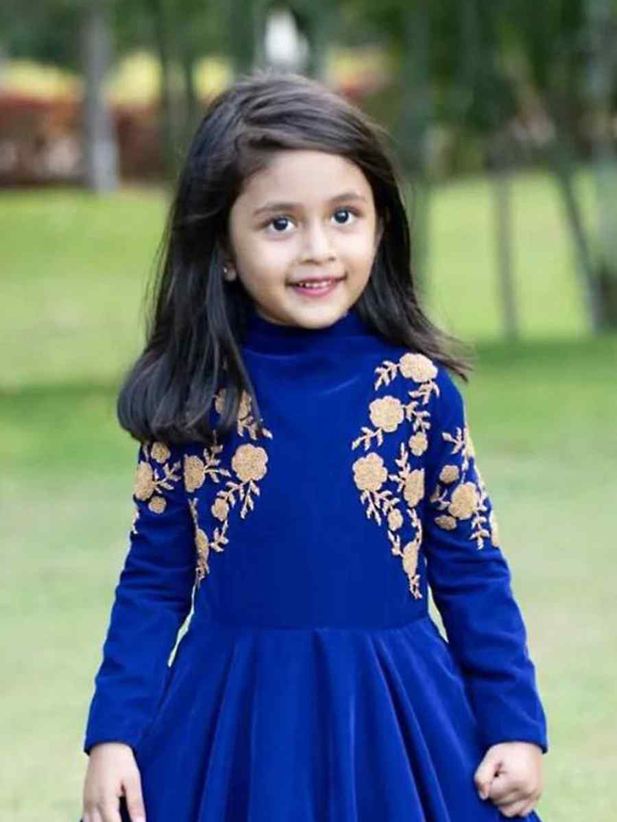 Blue Heavy Viscose Velvet Embroidered Wedding Festival Gown