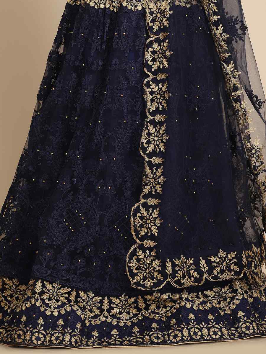 Blue Net Embroidered Wedding Festival Heavy Border Lehenga Choli