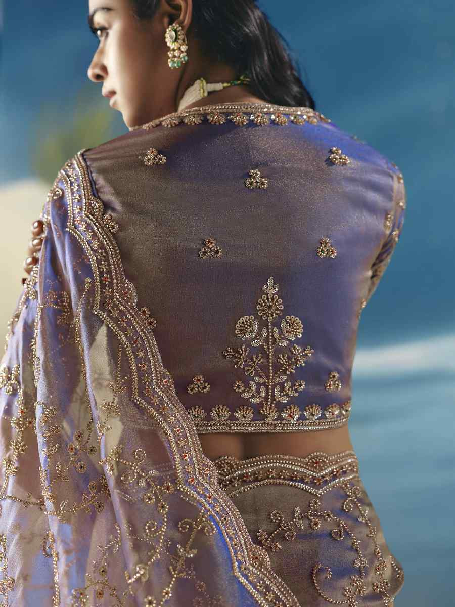 Blue Premium Satin Organza Embroidery Traditional Bridal Reception Festival Wedding Fancy Heavy Border Saree