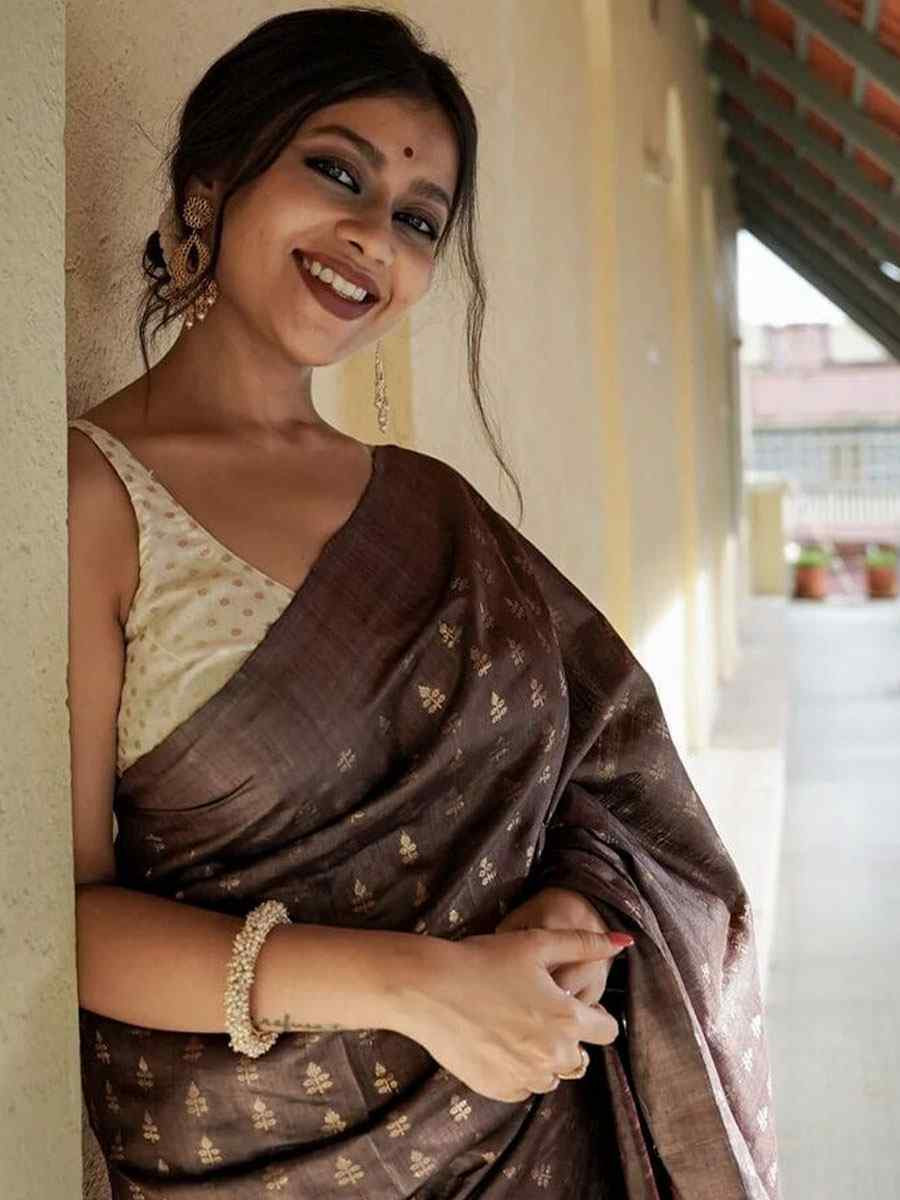 Brown Banarasi Silk Handwoven Party Festival Wedding Traditional Fancy Classic Style Sarees