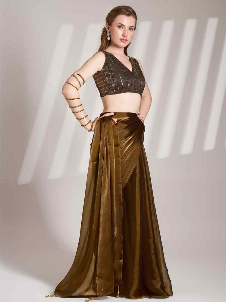 Brown Burberry Organza Solid Casual Festival Classic Style Saree