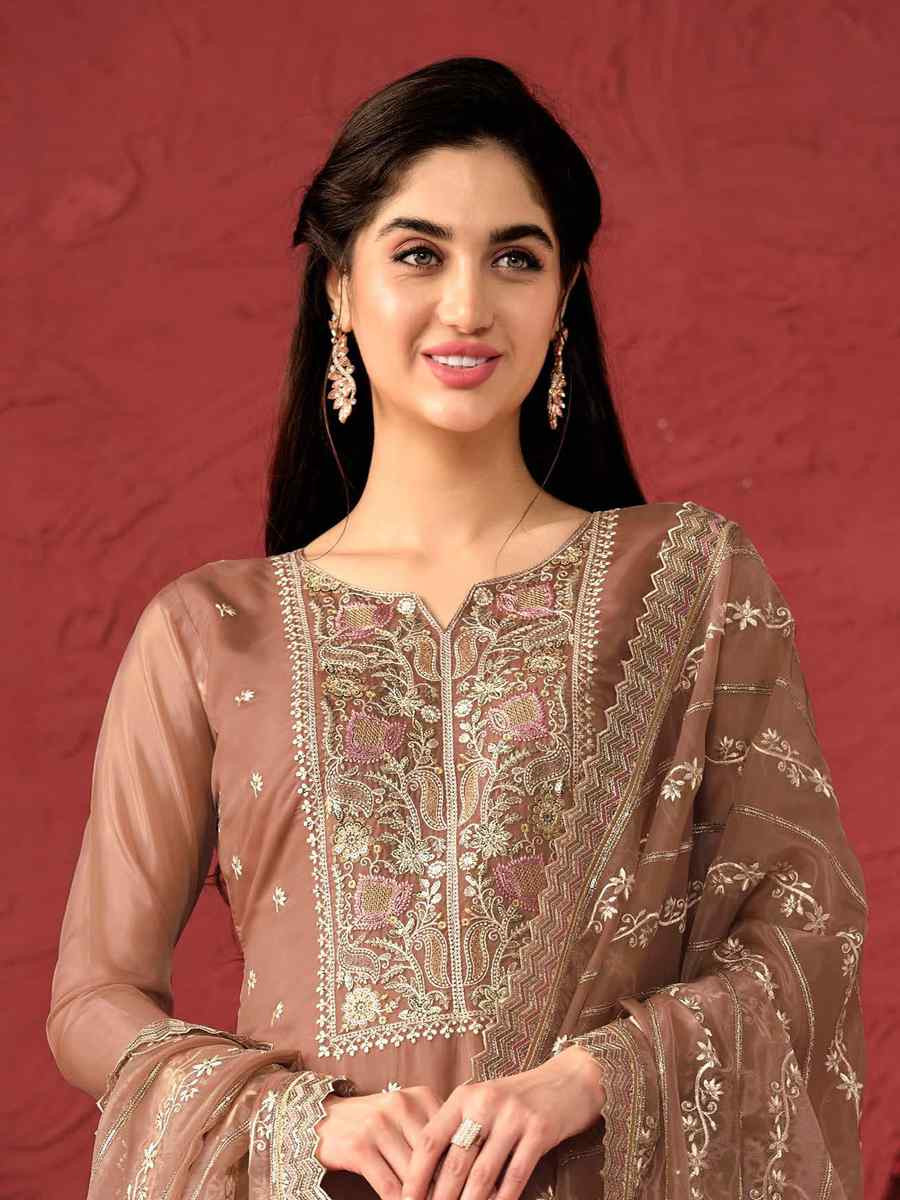 Brown Crystal Organza Embroidered Casual Festival Pant Salwar Kameez