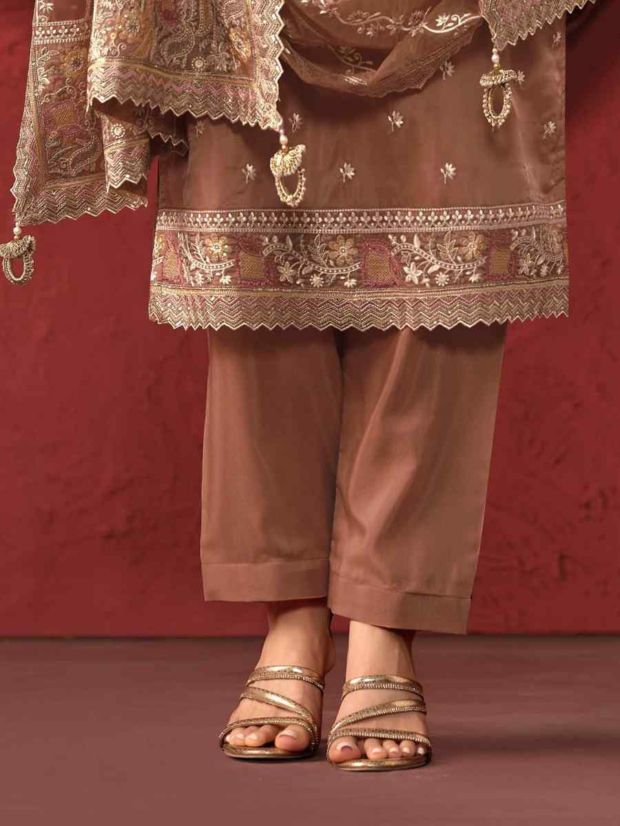 Brown Crystal Organza Embroidered Casual Festival Pant Salwar Kameez