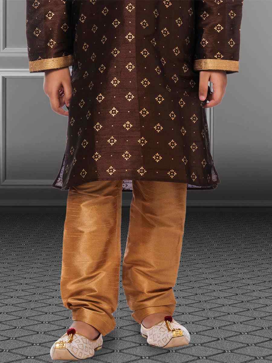 Brown Dhupion Silk Printed Festival Kurta Pyjama Boys Wear