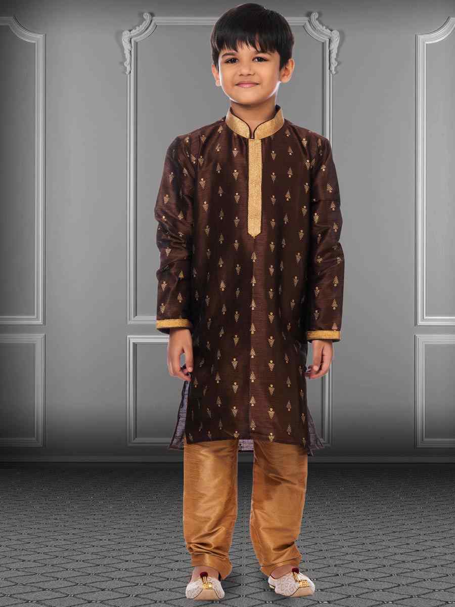 Brown Dhupion Silk Printed Festival Kurta Pyjama Boys Wear