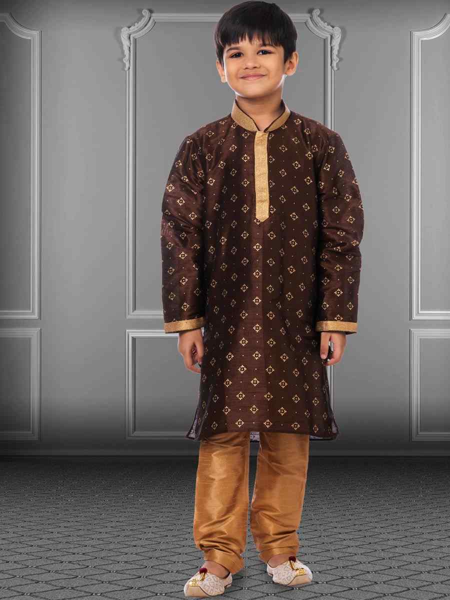 Brown Dhupion Silk Printed Festival Kurta Pyjama Boys Wear