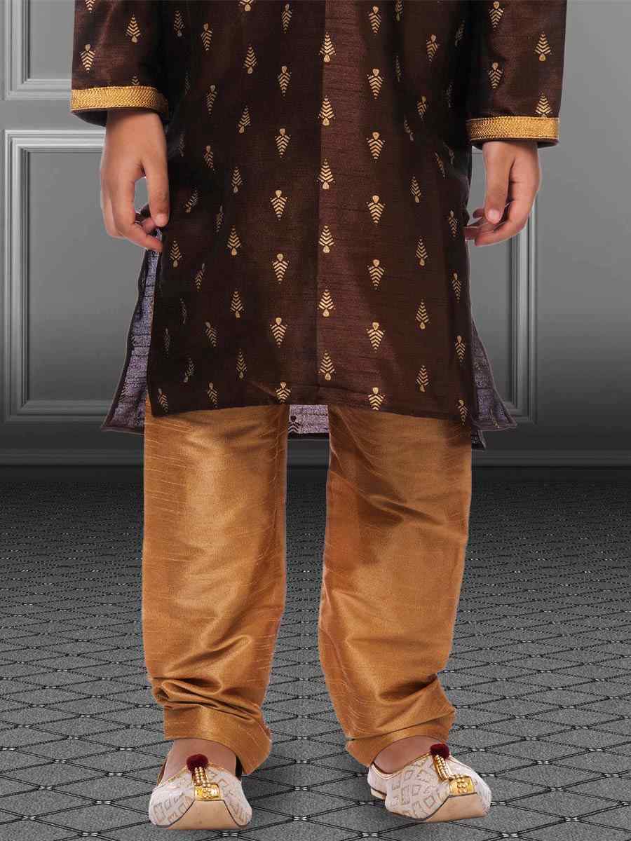 Brown Dhupion Silk Printed Festival Kurta Pyjama Boys Wear