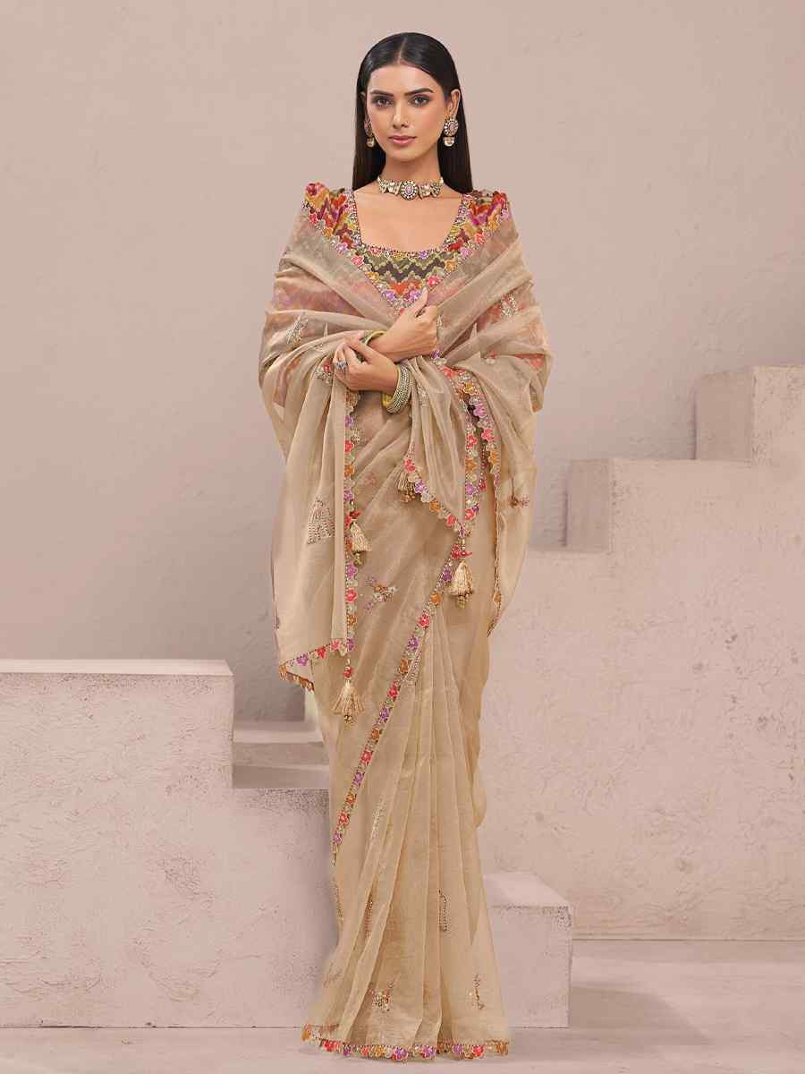 Brown Fancy Silk Plain Party Bridal Reception Festival Wedding Fancy Heavy Border Saree