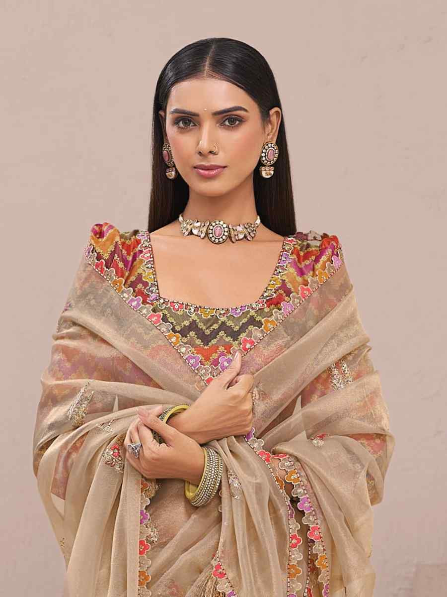 Brown Fancy Silk Plain Party Bridal Reception Festival Wedding Fancy Heavy Border Saree