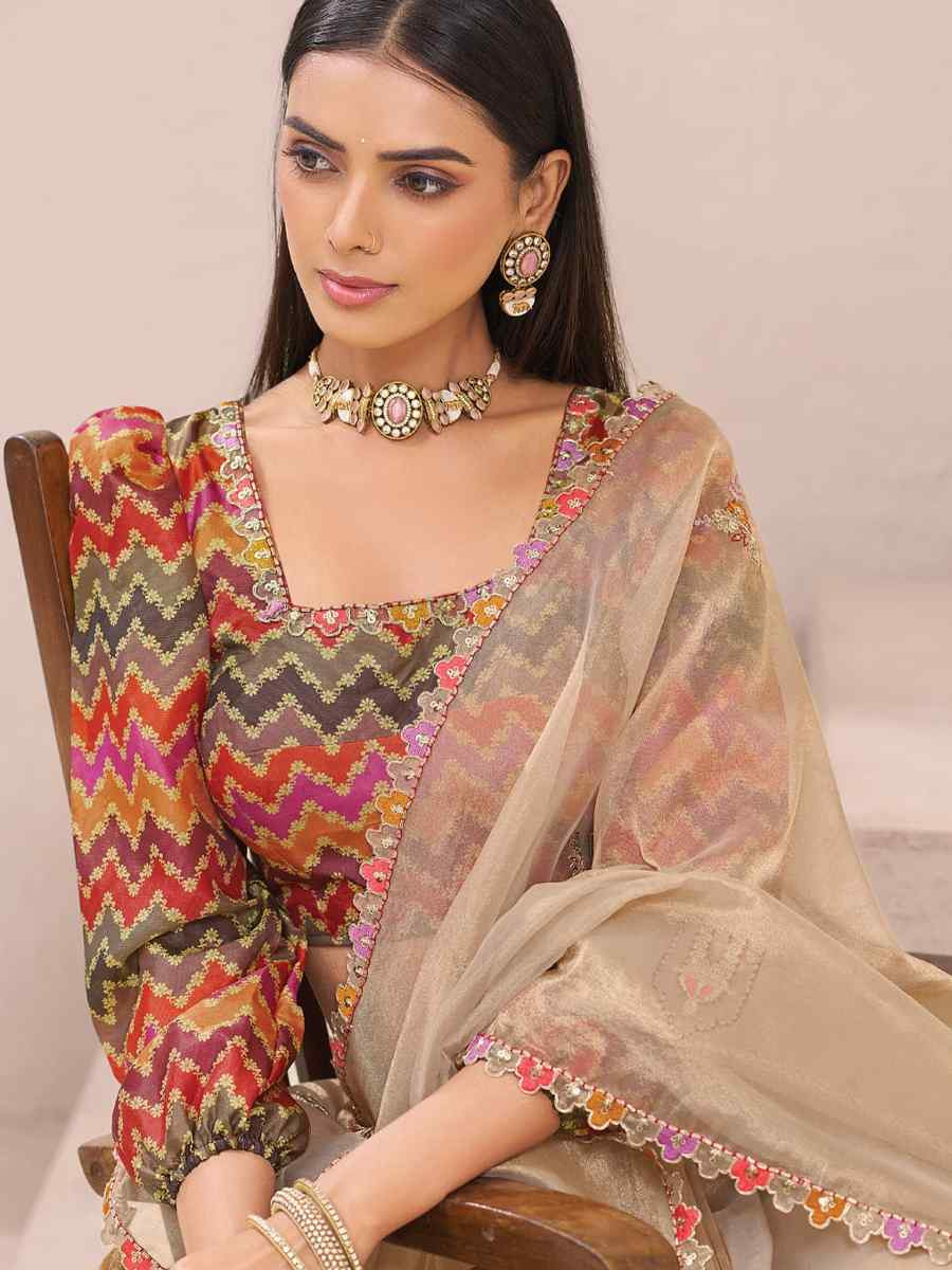 Brown Fancy Silk Plain Party Bridal Reception Festival Wedding Fancy Heavy Border Saree