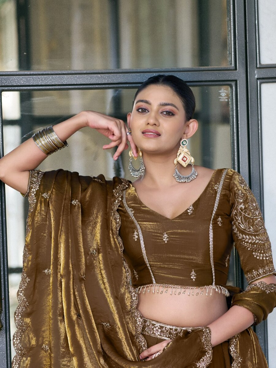 Brown Fendi Silk Thread Embroidery Sequins Wedding Reception Party Festival Circular Lehenga Choli
