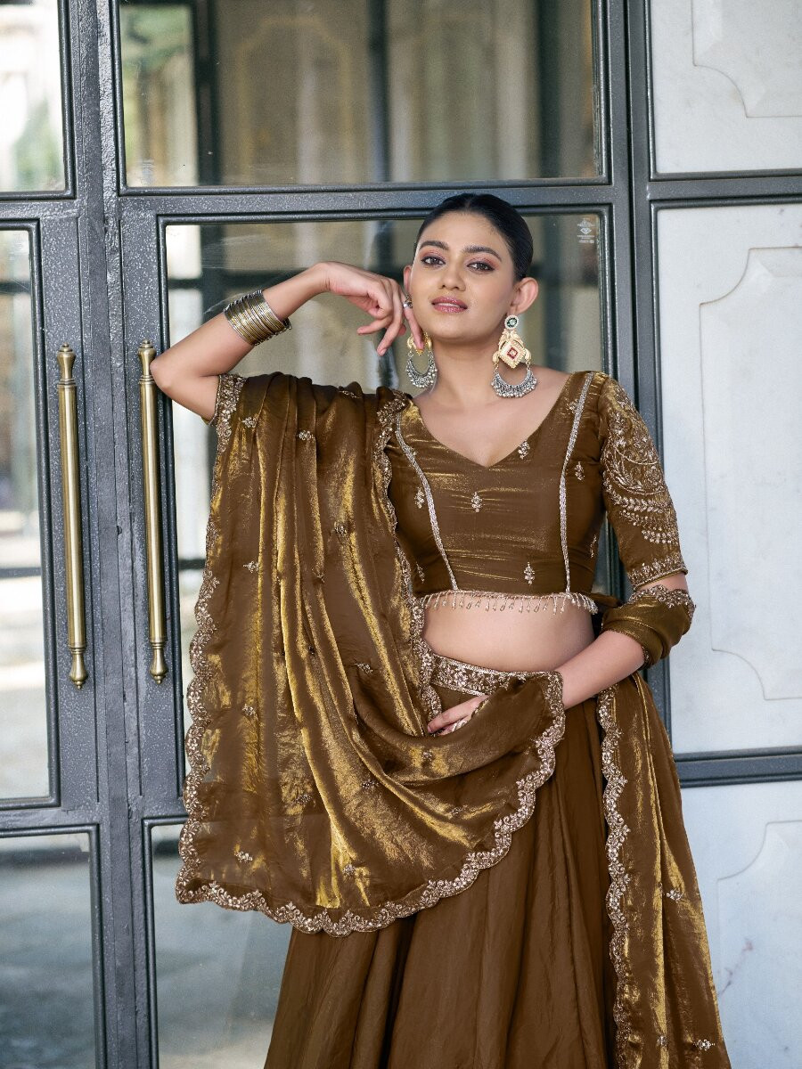 Brown Fendi Silk Thread Embroidery Sequins Wedding Reception Party Festival Circular Lehenga Choli