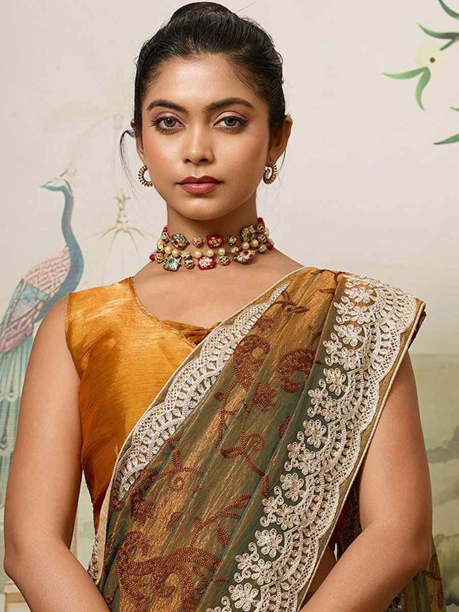 Brown Fendy Soft Net Embroidery Traditional Casual Reception Festival Wedding Fancy Heavy Border Saree
