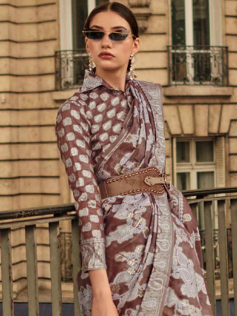 Brown Lucknowi Organza Handwoven Wedding Festival Heavy Border Saree