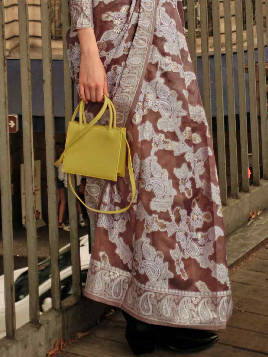 Brown Lucknowi Organza Handwoven Wedding Festival Heavy Border Saree