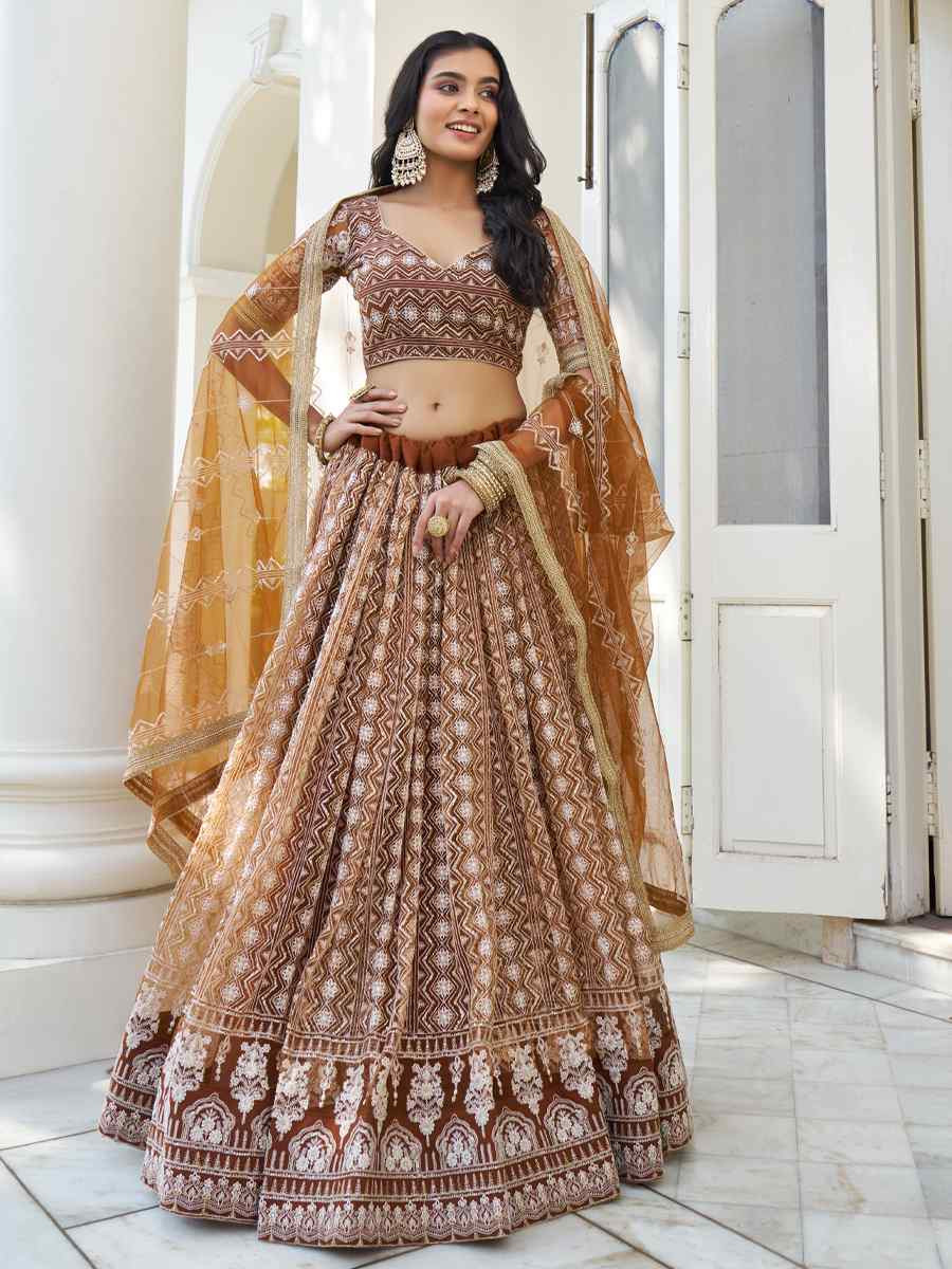 Brown Net Embroidered Wedding Reception Festival Heavy Border Lehenga Choli