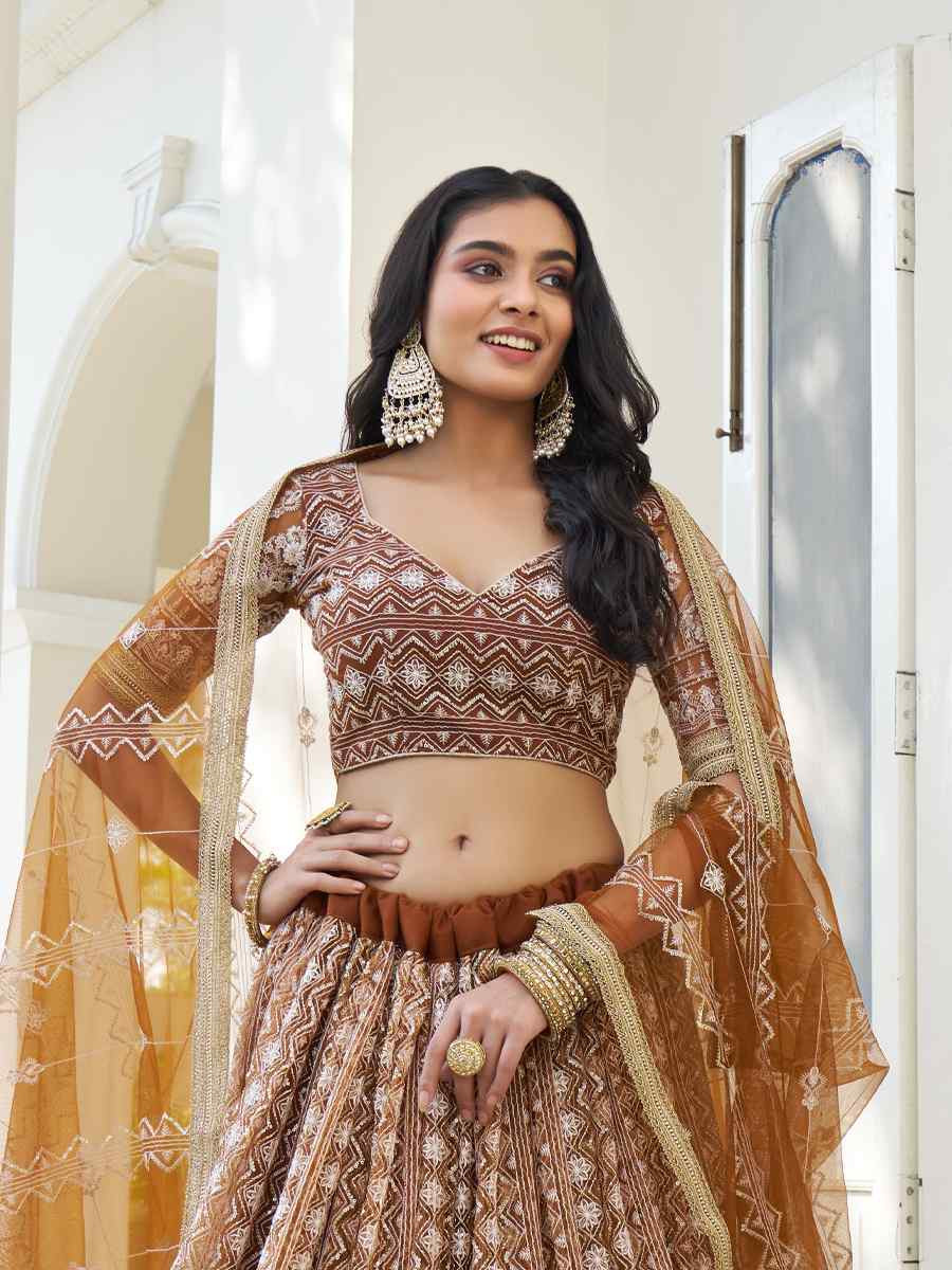 Brown Net Embroidered Wedding Reception Festival Heavy Border Lehenga Choli