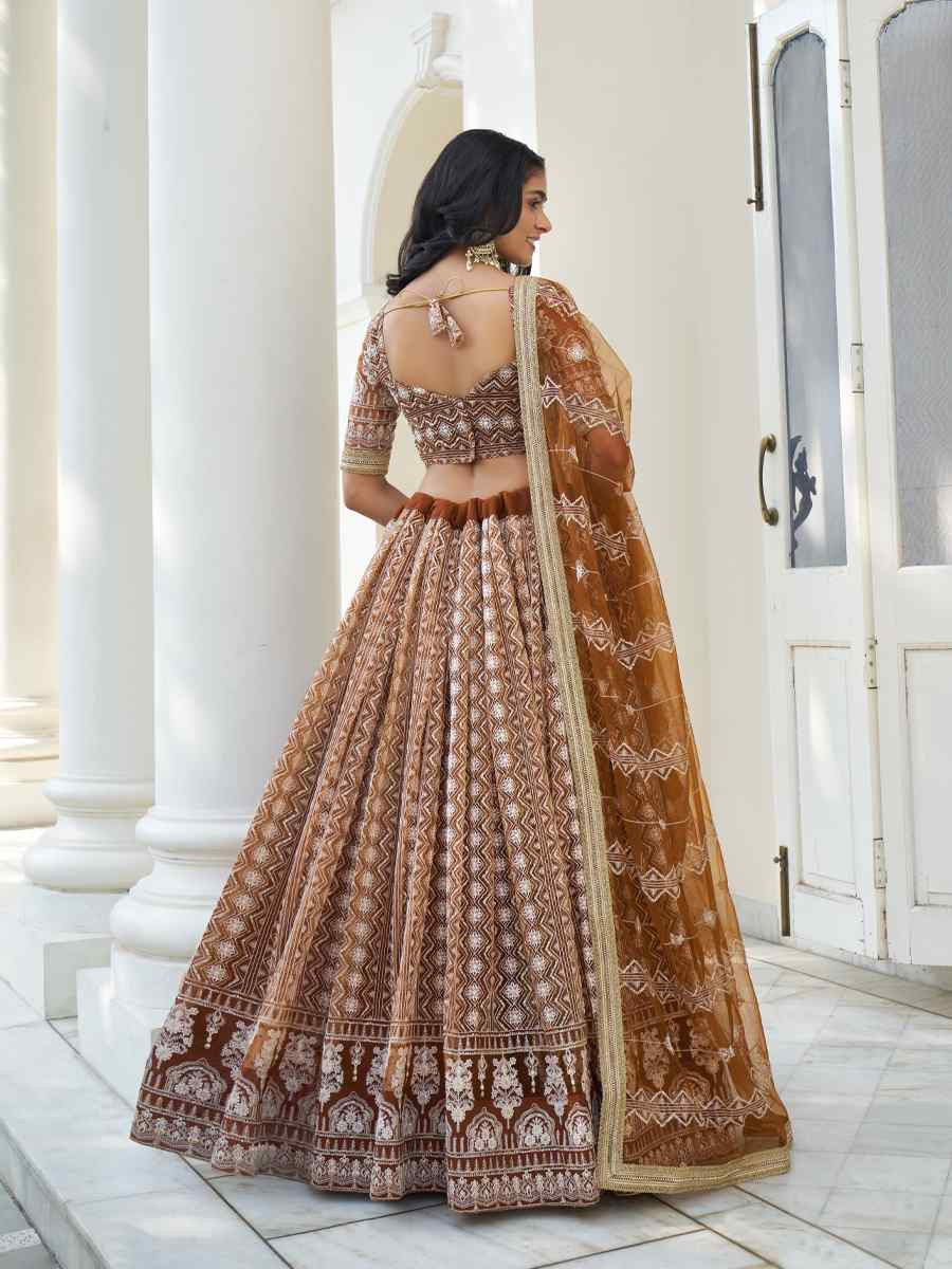 Brown Net Embroidered Wedding Reception Festival Heavy Border Lehenga Choli