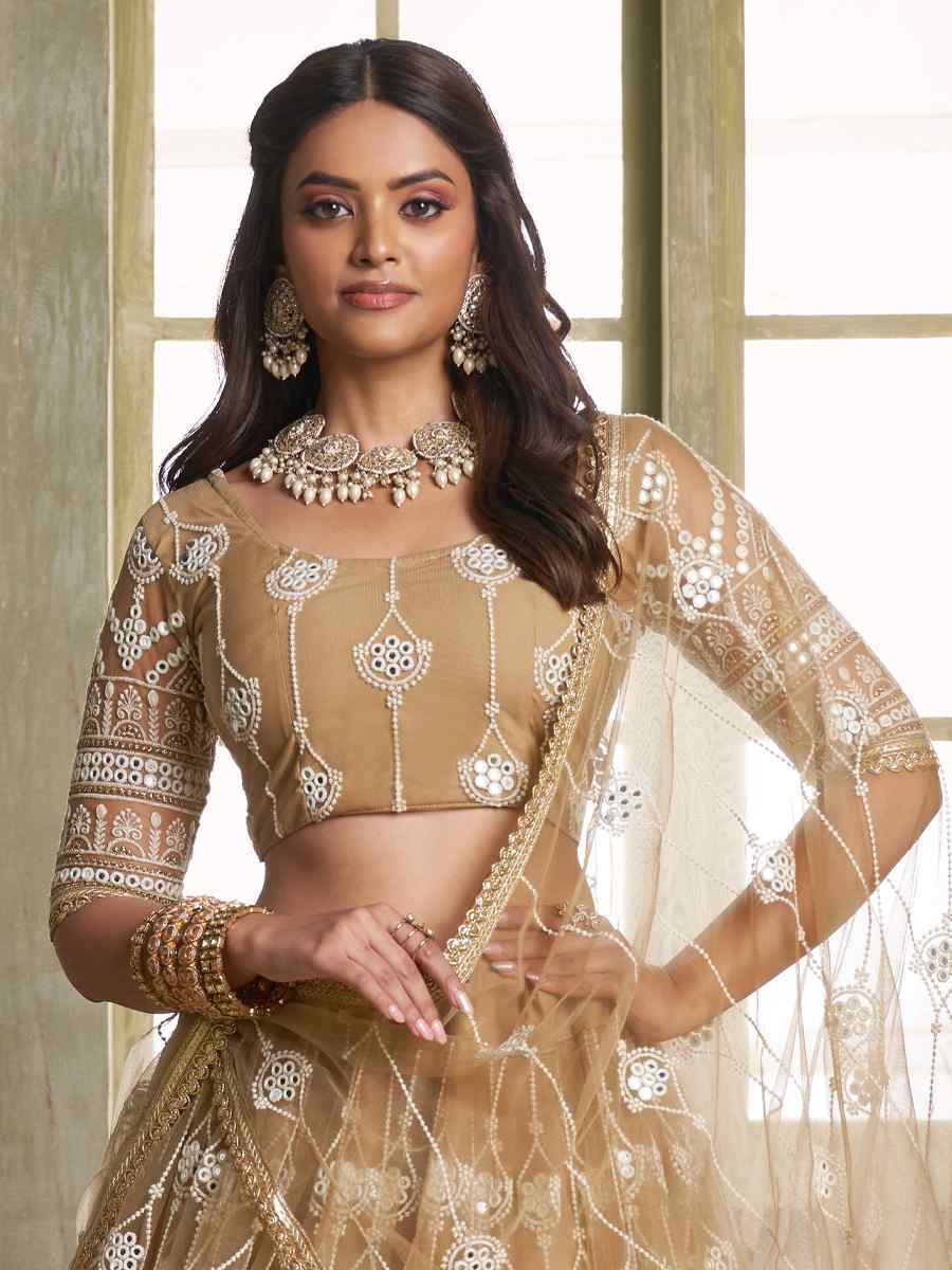 Brown Net Embroidered Wedding Reception Festival Heavy Border Lehenga Choli