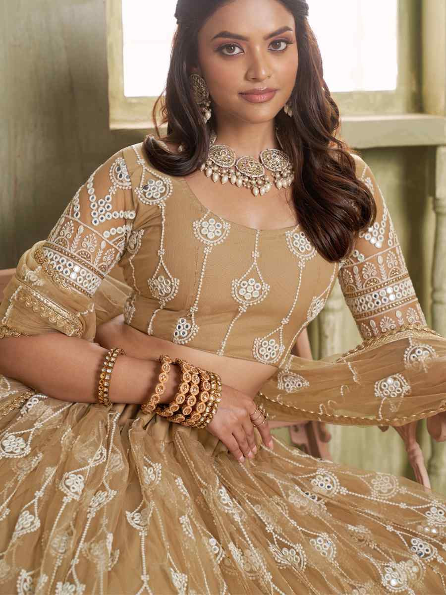 Brown Net Embroidered Wedding Reception Festival Heavy Border Lehenga Choli