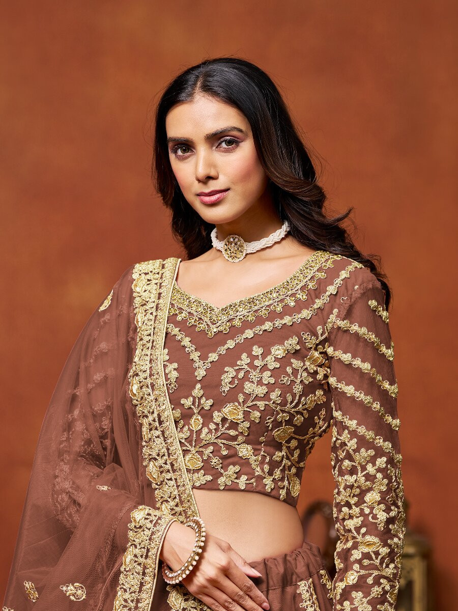 Brown Net Embroidery Zari Stone Work Wedding Reception Party Festival Heavy Border Lehenga Choli