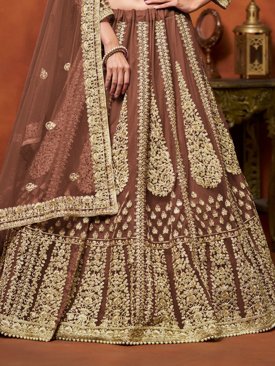 Brown Net Embroidery Zari Stone Work Wedding Reception Party Festival Heavy Border Lehenga Choli