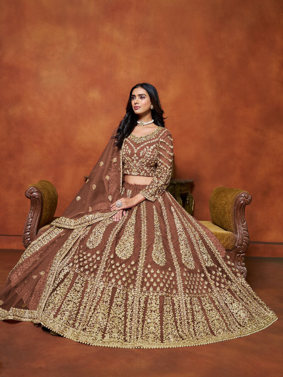 Brown Net Embroidery Zari Stone Work Wedding Reception Party Festival Heavy Border Lehenga Choli