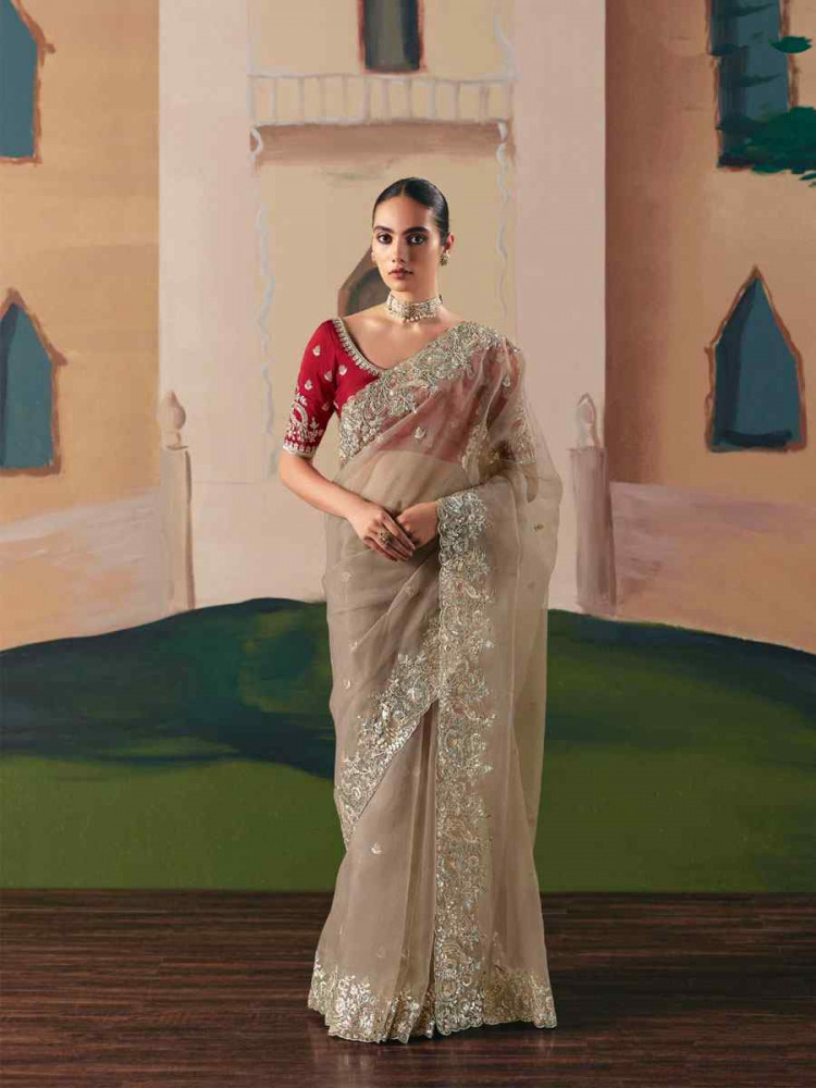 Image of Brown Organza Embroidery Zari Bridal Reception Festival Wedding Fancy Heavy Border Saree