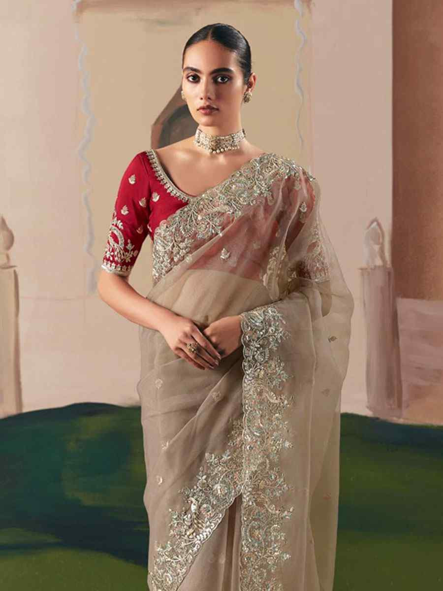 Brown Organza Embroidery Zari Bridal Reception Festival Wedding Fancy Heavy Border Saree