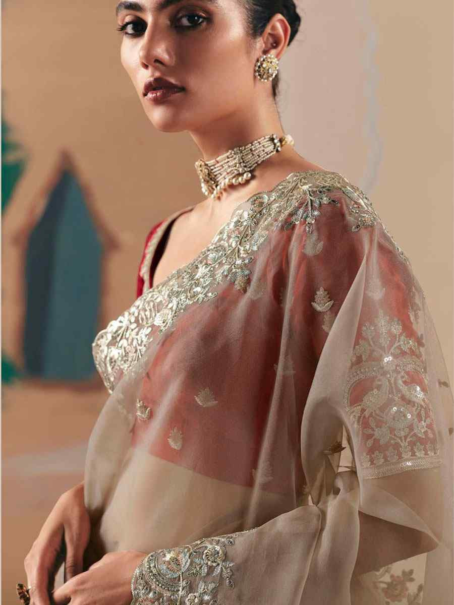 Brown Organza Embroidery Zari Bridal Reception Festival Wedding Fancy Heavy Border Saree
