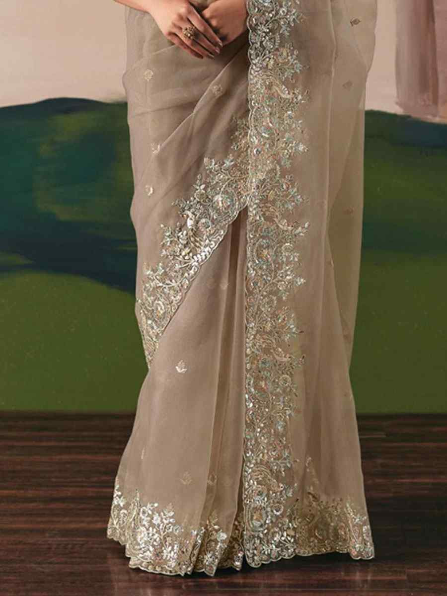 Brown Organza Embroidery Zari Bridal Reception Festival Wedding Fancy Heavy Border Saree