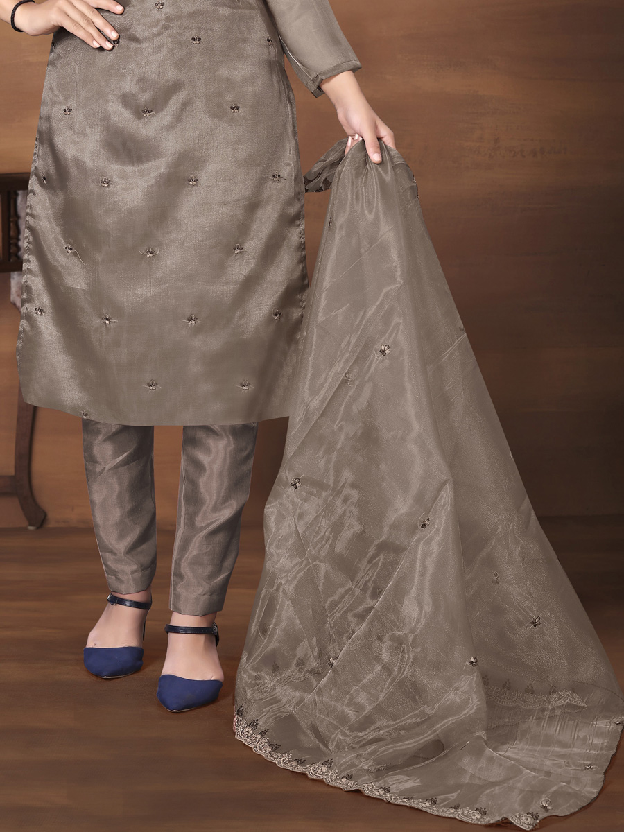 Brown Organza Printed Casual Festival Pant Salwar Kameez