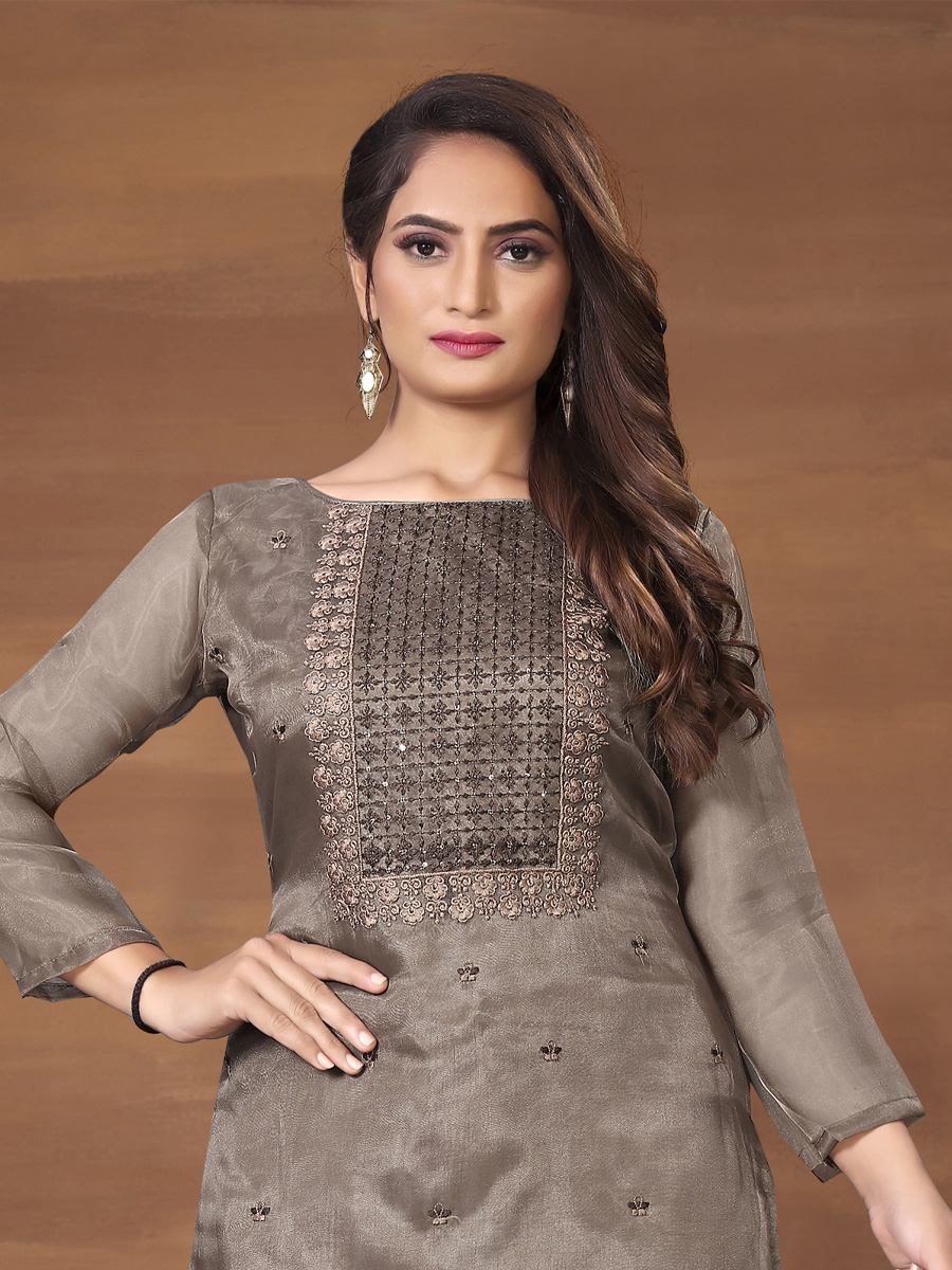 Brown Organza Printed Casual Festival Pant Salwar Kameez