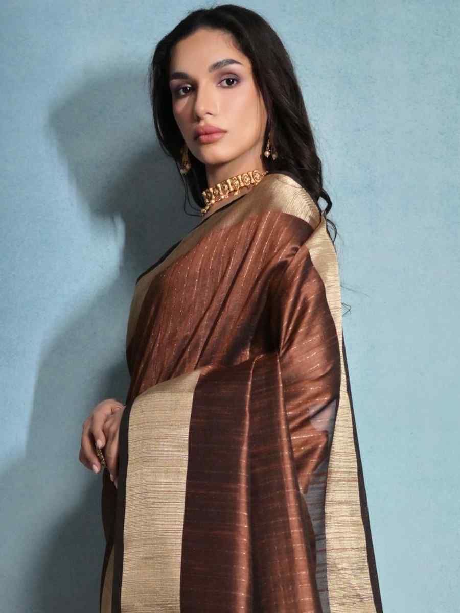 Brown Raw Silk Handwoven Festival Casual Heavy Border Saree