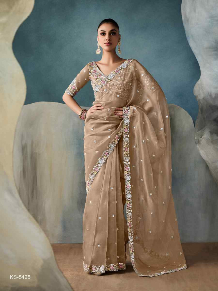 Brown Tissue Silk Embroidered Festival Wedding Fancy Heavy Border Saree