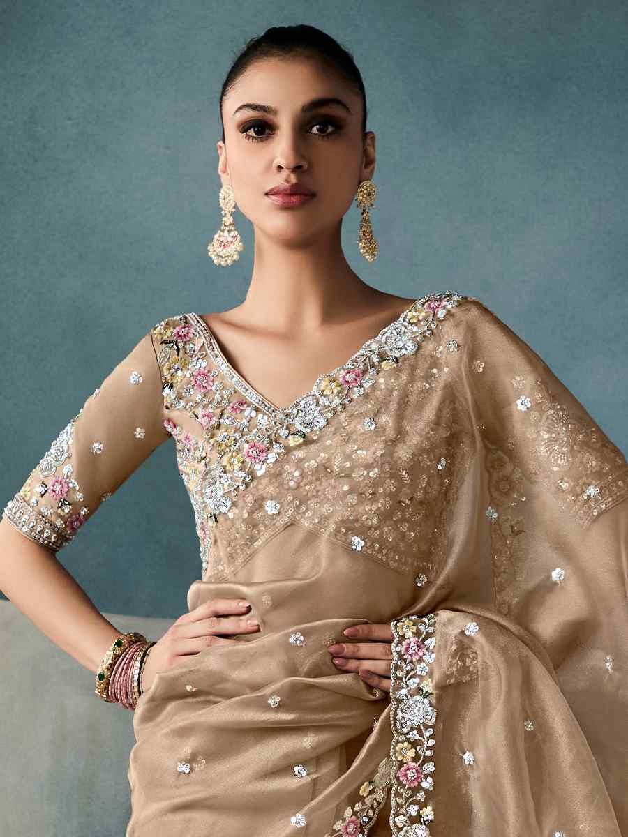 Brown Tissue Silk Embroidered Festival Wedding Fancy Heavy Border Saree