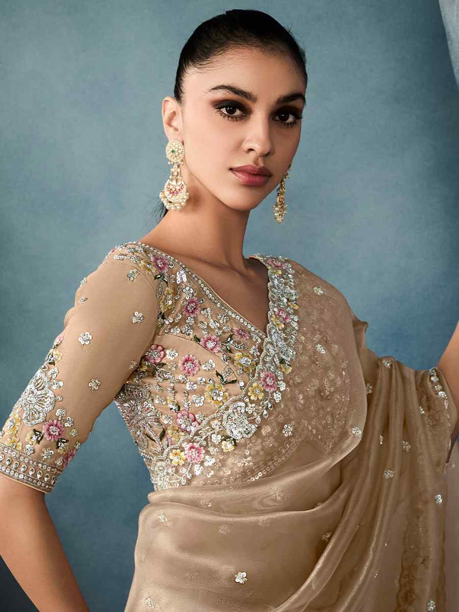 Brown Tissue Silk Embroidered Festival Wedding Fancy Heavy Border Saree