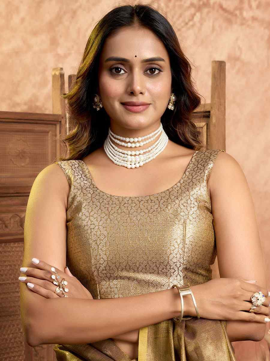 Brown Tissuse Silk Handwoven Festival Wedding Fancy Heavy Border Saree