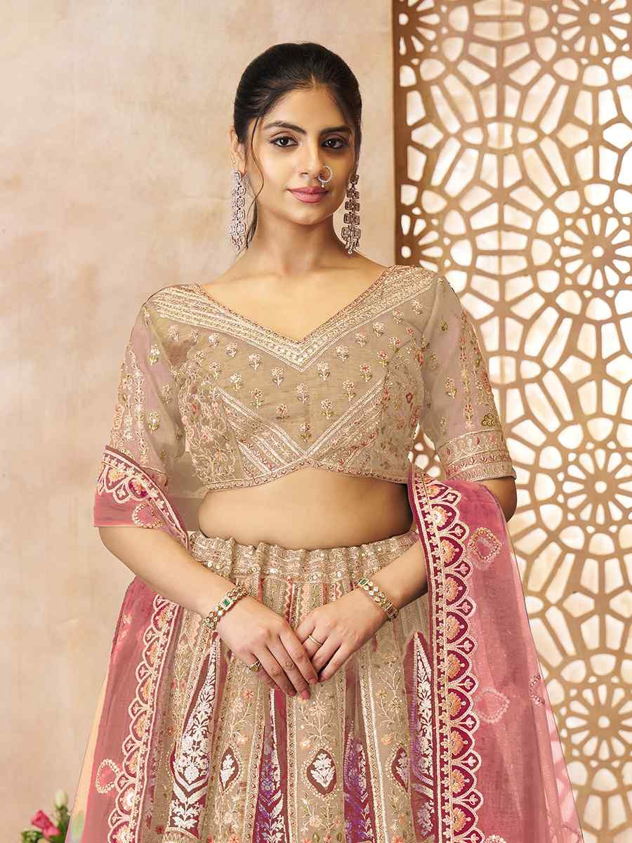 Chiku Banarasi silk Embroidered Wedding Bridesmaid Heavy Border Lehenga Choli