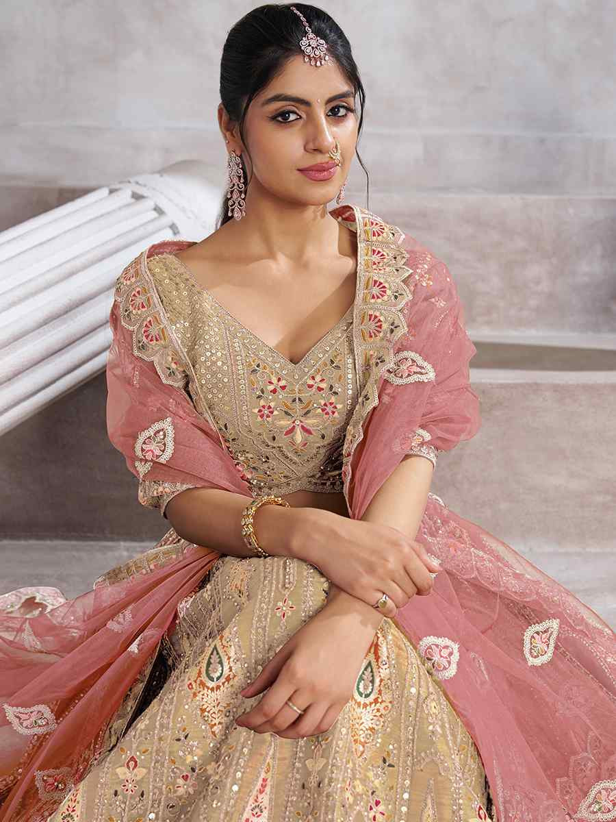 Chiku Banarasi silk Embroidered Wedding Bridesmaid Heavy Border Lehenga Choli