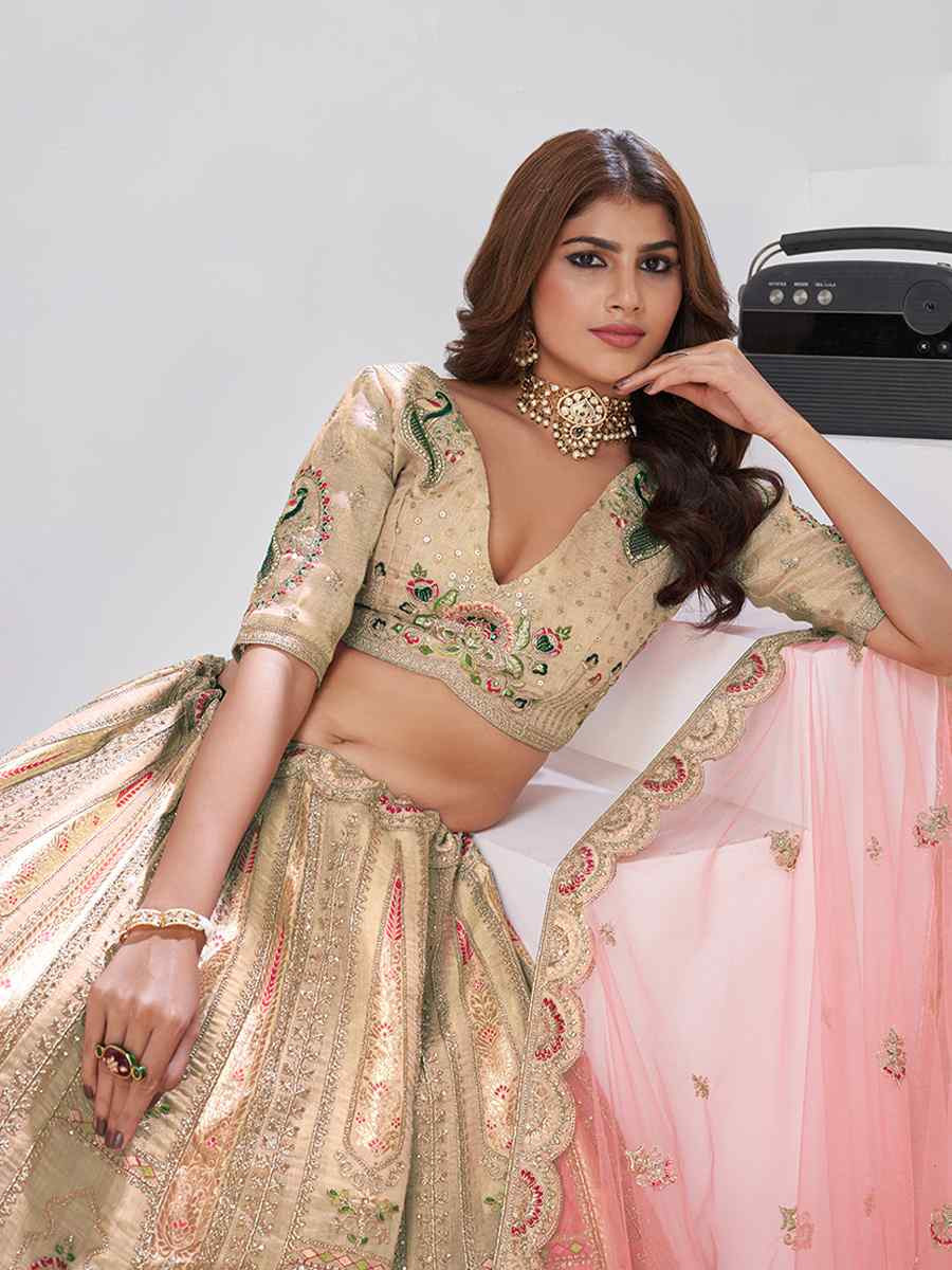 Chiku Banarsi Silk Embroidered Wedding Reception Festival Heavy Border Lehenga Choli